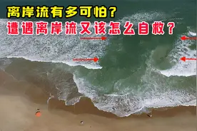 平静的海浪竟能吃人？离岸流有多可怕？遭遇离岸流又该怎么自救？