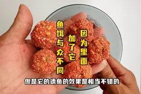 做鱼饵加它，就是与众不同的鱼饵窝料，野钓抽窝打窝诱鱼超快视频封面