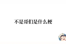 不是哥们是什么梗