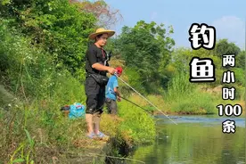 带舅舅到野外钓鱼，2小时钓100多条，油炸着吃，太香了视频封面