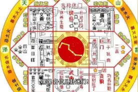 杨紫突然官宣喜讯恭喜啊终于等到这一天了视频封面