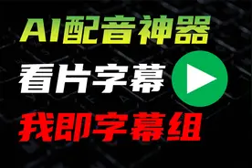 看片没字幕，生肉啃不动？不要怕！神器在手天下我有