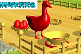 鸭子妈妈喝彩虹饮料，没想到生出了彩色的蛋宝宝，太有趣啦视频封面