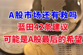 A股还有救吗？蓝田42条建议，可能是最后的希望了！视频封面