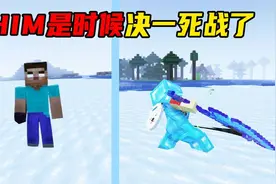 在《烦人的村民》里单挑，我的世界的神HIM！视频封面
