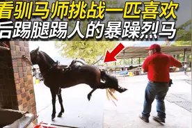看驯马师如何驯服一匹喜欢后踢腿攻击人的烈马，最后结局让人佩服视频封面