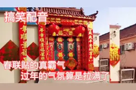 搞笑配音，过年的气氛算是拉满了视频封面
