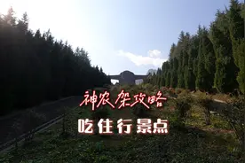 细数神农架六大景区三个小镇，吃住玩合理安排，神农架自驾攻略下视频封面