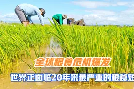 全球粮食危机爆发，世界正面临20年来最严重的粮食短缺视频封面