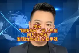 揭秘“梅姨落网”登上热搜网友扒皮她发现她竟如此心狠手辣视频封面