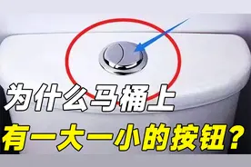 切记别瞎按了！为什么马桶上有一大一小的按钮？今天终于明白了视频封面