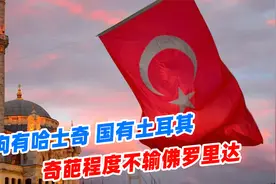 狗有哈士奇，国有土耳其，土耳其的奇葩程度不输佛罗里达视频封面