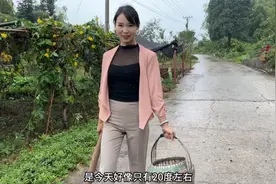 魔芋真的太神奇，两三个就能做50斤魔芋豆腐，低卡饱腹又减脂