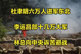 杜聿明六万人进军东北，李运昌部十几万大军，林总向中央诉苦避战视频封面