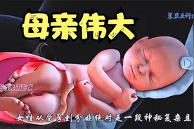 女性受孕到分娩的过程，动画演示，伟大的母亲