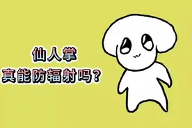 仙人掌真能防辐射？