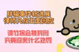 胖猫事件新进展，律师凡叔出面回应，谭竹将会被判刑！视频封面