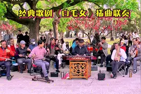 经典歌剧《白毛女》插曲联奏，北京琴之声乐团表演