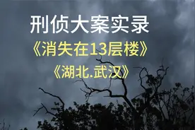 消失在13层楼视频封面