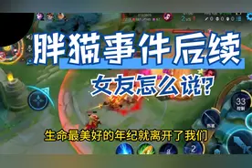 纯爱战士VS捞女，胖猫事件后续视频封面