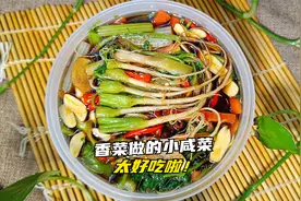 腌菜新体验，把香菜做成小腌菜，爽口好吃，美味其实很简单！视频封面