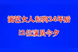 电视剧《篱笆女人和狗》12位演员今昔,时隔34年看看你还认识视频封面