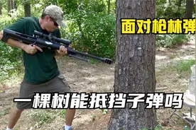 躲在树后面真的可以防弹吗，那么它又能防哪些子弹呢？硬核测试。视频封面