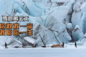 电影：男孩遭遇狼群袭击后，与狼产生了感情，随后成了一生的朋友视频封面