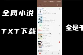 全网小说TXT格式下载方法，可下至MP4