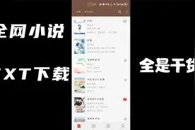 全网小说TXT格式下载方法，可下至MP4