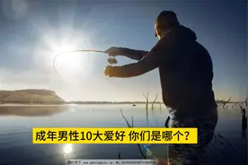 成年人的十大爱好，你们是哪一个呢！