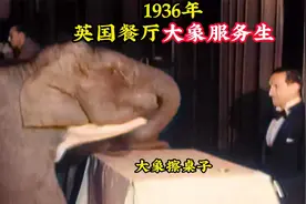 1936年真实影像：餐厅现身大象服务生，服务周到令人大开眼界