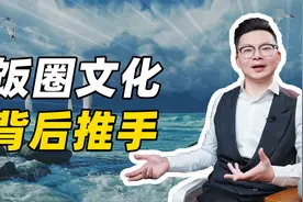 饭圈文化，背后推手视频封面