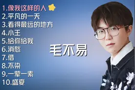 毛不易十首好听的歌曲，代表作品：像我这样的人、平凡的一天