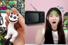 动物盲袋里有“幽灵电视”！白天能看动画片，晚上要锁进柜子里？