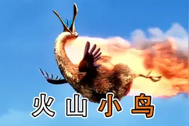 火山爆发都阻止不了这对夫妻吵架，渡渡鸟爆笑逃亡记视频封面