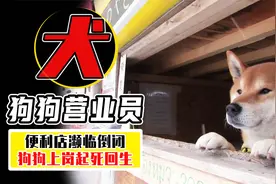 便利店濒临倒闭，狗子上岗把店盘活，一天接待2000顾客视频封面
