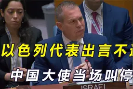 安理会现场，以代表口出狂言，炮轰妇女署，中国大使直接叫停