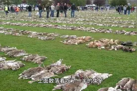 老外恐怖惊悚故事：兔子人视频封面