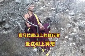 喜马拉雅山上的神秘修行者，在树上打坐冥想，他是在逃避社会吗？视频封面