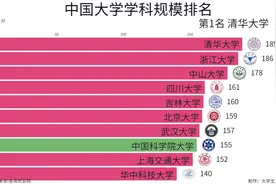 2024年最新中国大学学科规模排名，清华大学位列第一！视频封面