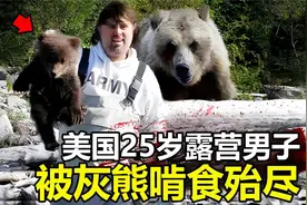 美国25岁男子，惨遭灰熊生吞，看完你才知道吃过人的灰熊有多可怕视频封面
