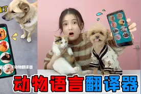 神奇动物翻译器！可以把人语翻译成“狗语'，狗狗听完后惊呆了？