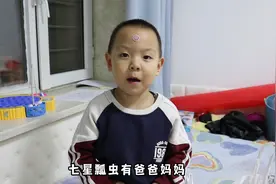 家里七星瓢虫泛滥，淇宝竟然问它们有没有亲人，爸爸直接被问蒙