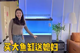 老公送媳妇喜欢的鱼缸，摆在客厅显得真敞亮，女人就是得宠着才行视频封面