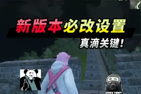 突击手蜜獾：新版本必改设置，这功能太实用了，助你上大分！