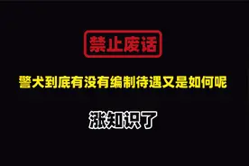 禁止废话：警犬到底有没有编制待遇又是如何呢？涨知识了