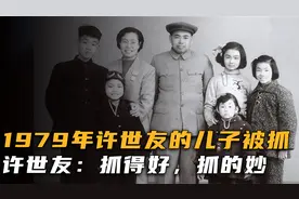 79年，许世友将军的儿子犯了错，军区不好处理，许世友：直接枪毙视频封面