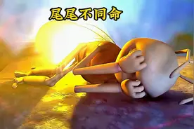 萤火虫因为屁股发光导致失眠，熊大却想要给自己换个孔雀尾巴视频封面