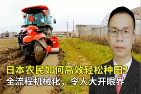 日本农民如何高效轻松种田？全流程机械化，令人大开眼界！视频封面